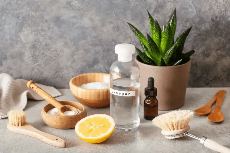 The image shows a natural ingredient setup, including vinegar, lemon, and other organic elements, commonly used in DIY hair care solutions.